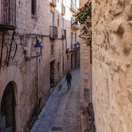 Bravissimo Catedral, With Monumental Views * 지로나